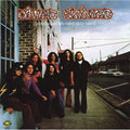 Lynyrd Skynyrd - Pronounced Leh-nerd Skin-nerd - Analogue Productions 45rpm LP