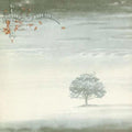 [Pre Order] Genesis - Wind & Wuthering - Analogue Productions 45rpm LP *