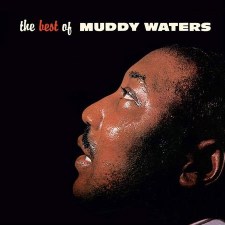 Muddy Waters - The Best Of Muddy Waters - Acoustic Sounds Series LP
