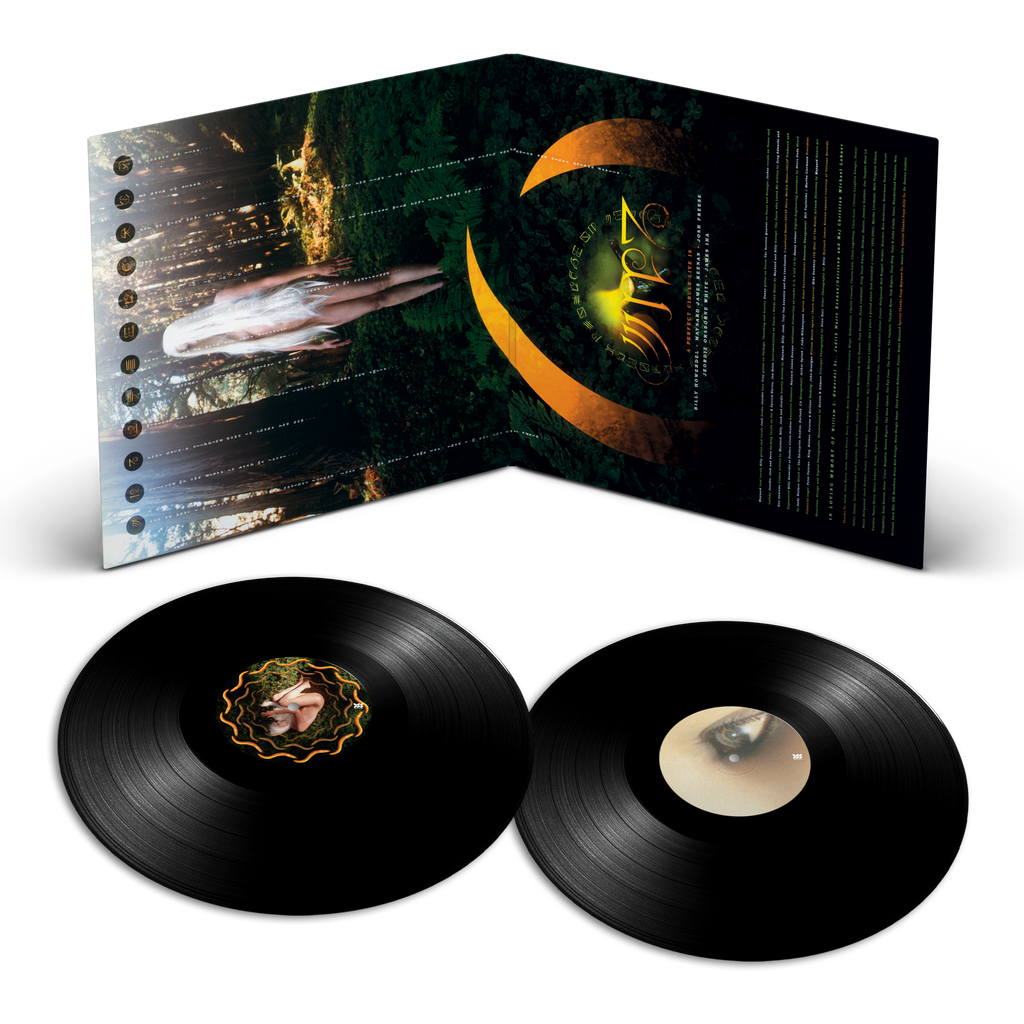 A Perfect Circle - Thirteenth Step - Definitive Sound Series gatefold open with discs