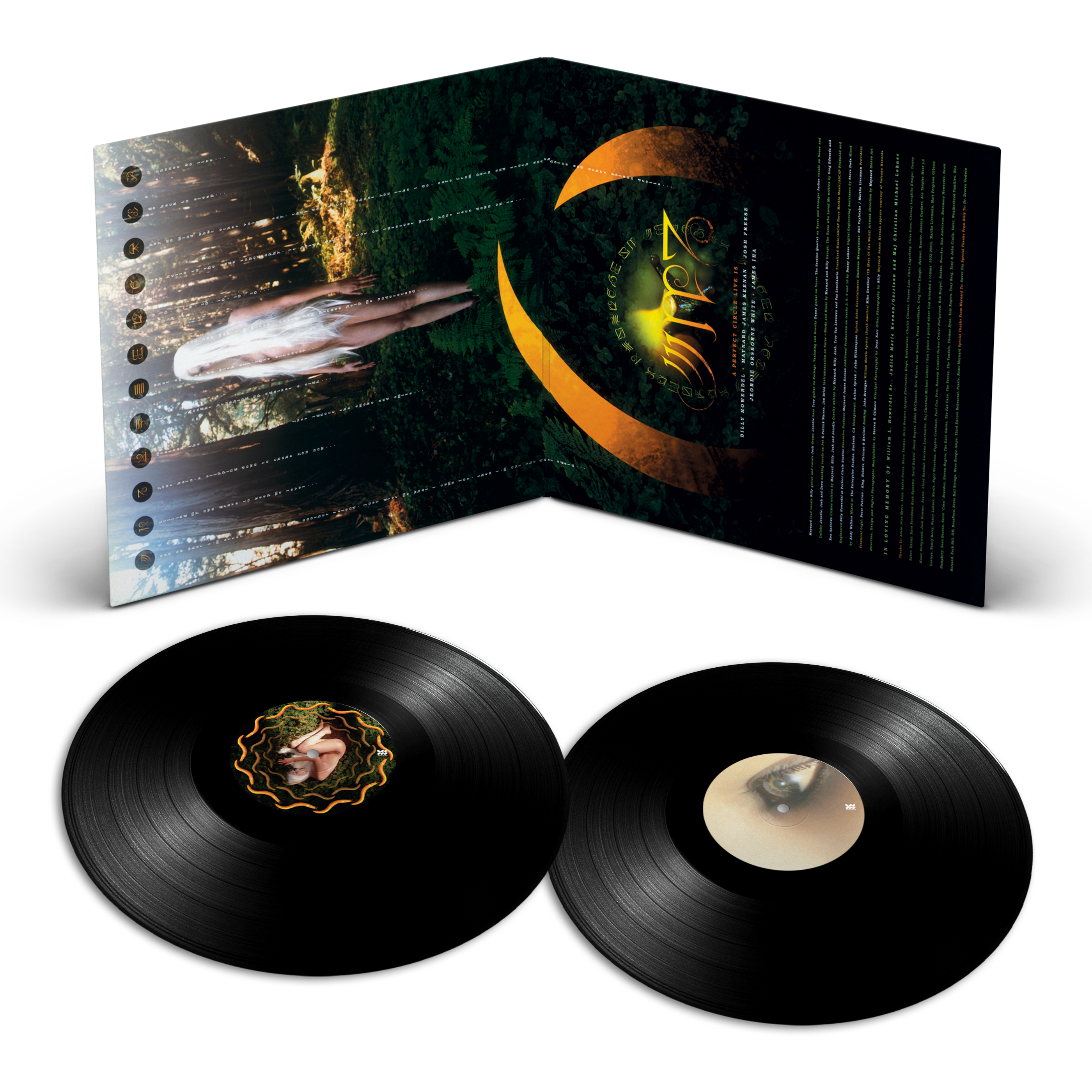 A Perfect Circle - Thirteenth Step - Definitive Sound Series gatefold open with discs