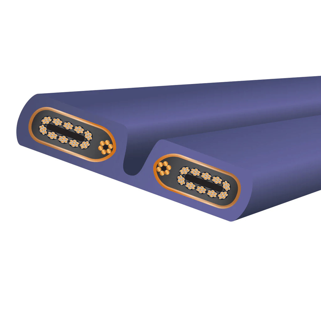 WireWorld - Aurora 10 Power Conditioning Cord