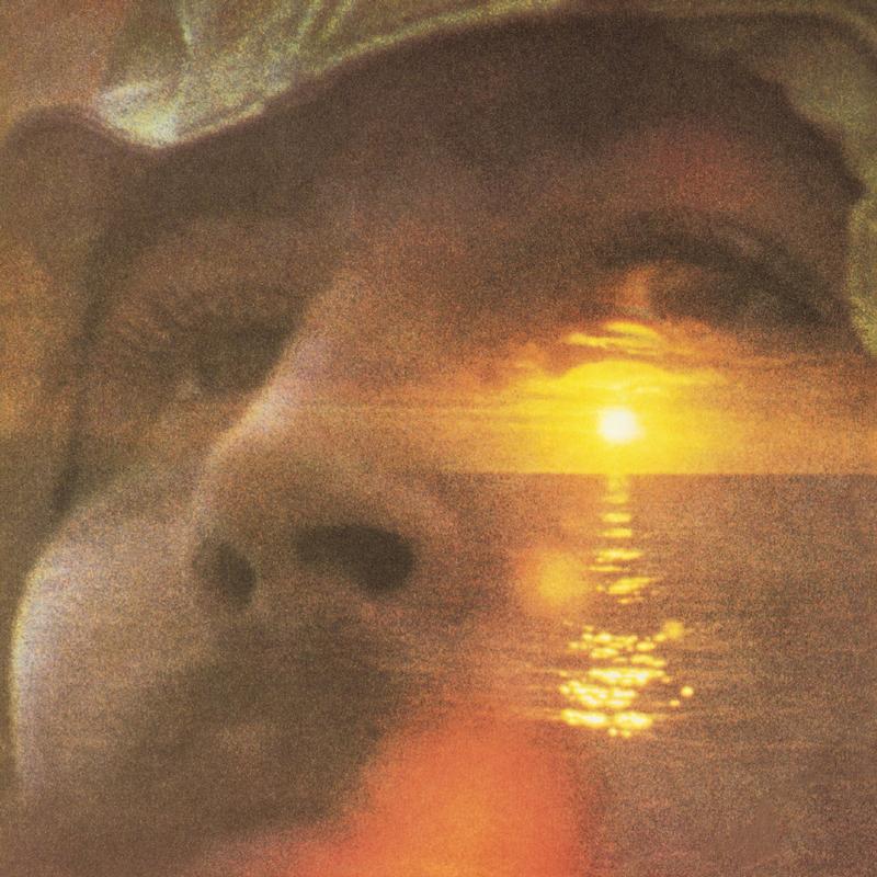 (Pedido anticipado) David Crosby - Si tan solo pudiera recordar mi nombre - Analogue Productions SACD