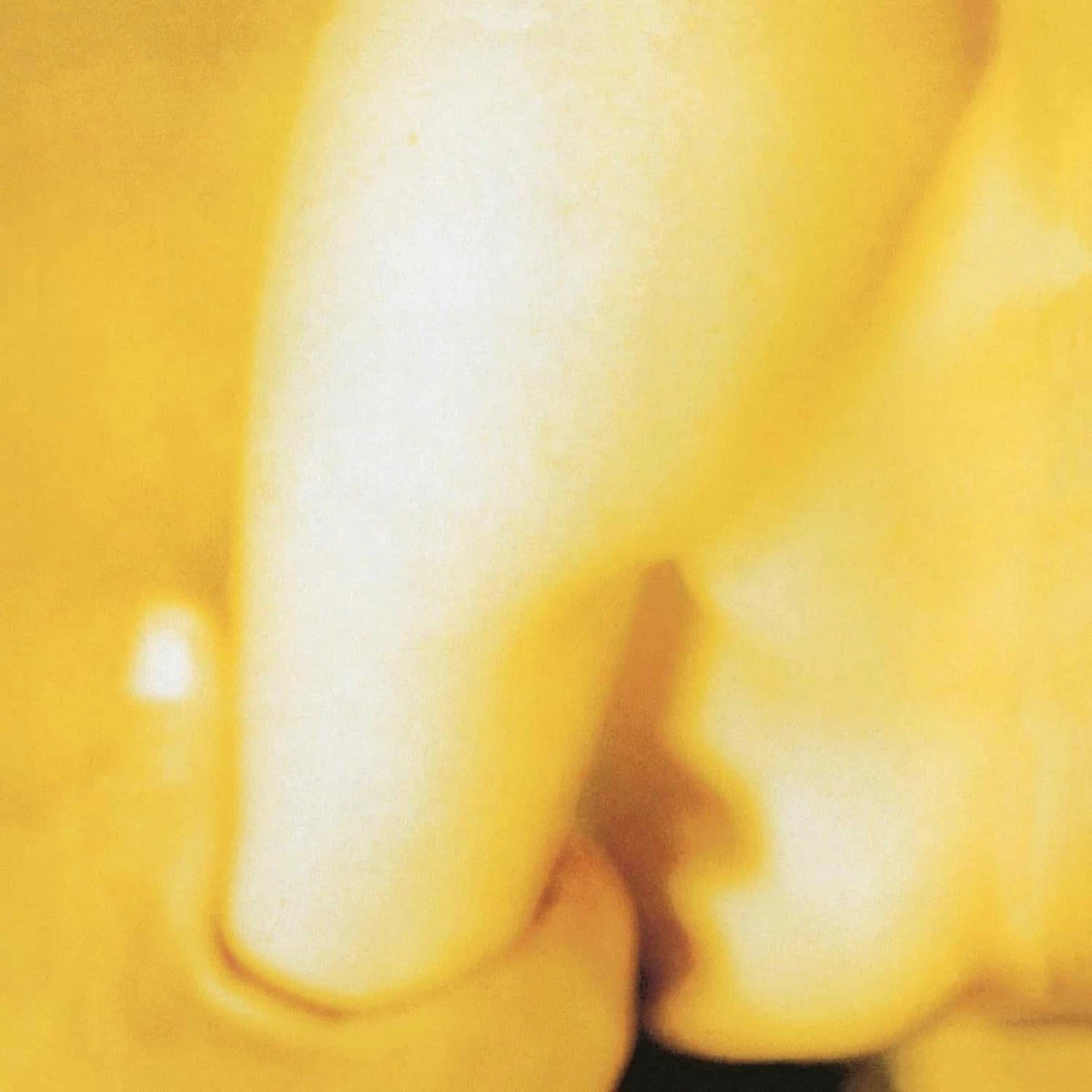 The Smashing Pumpkins - Pisces Iscariot - LP