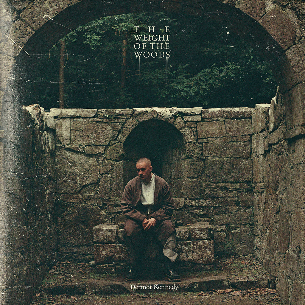 Dermot Kennedy - The Weight of the Woods - LP