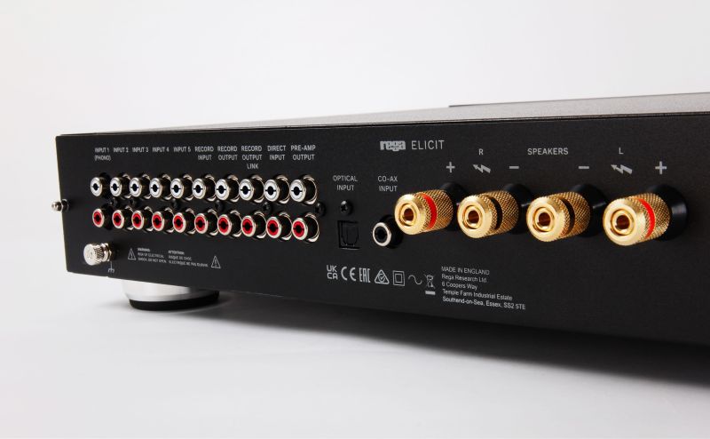 Rega Elicit MK5 rear panel detail
