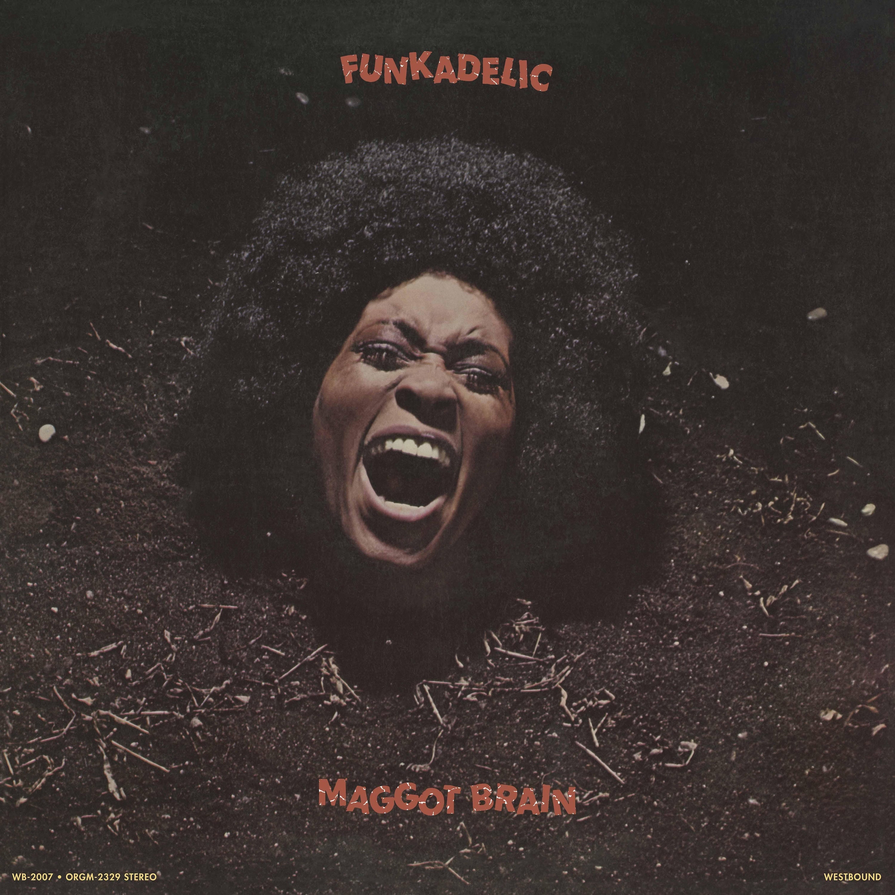 Funkadelic - Maggot Brain - LP | The 'In' Groove