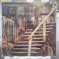 Mississippi Fred McDowell - I Do Not Play No Rock 'N' Roll - LP