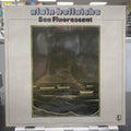 Alain Bellaïche - Sea Fluorescent - LP