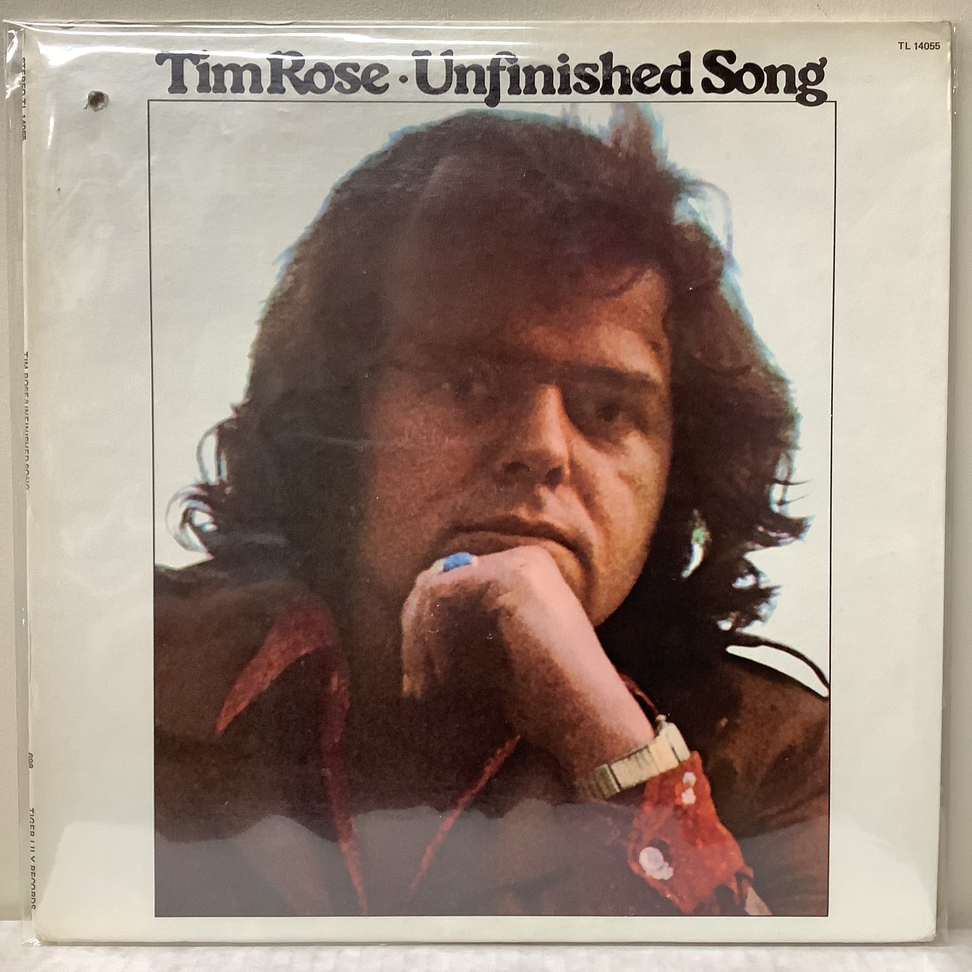 tiger lily records Tim Rose - Unfinished Song