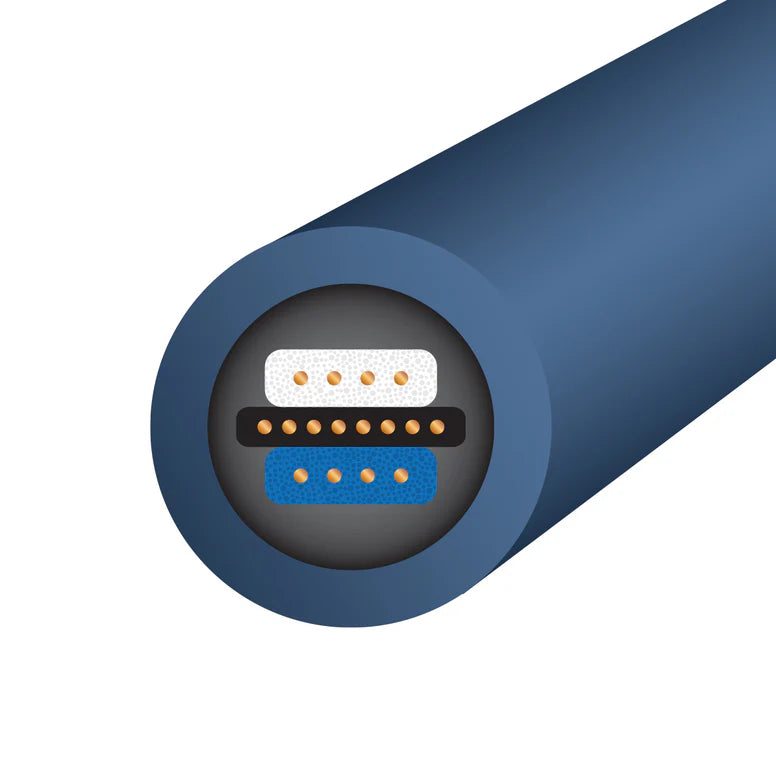 Wireworld - Oasis 10 Audio Interconnect Cable