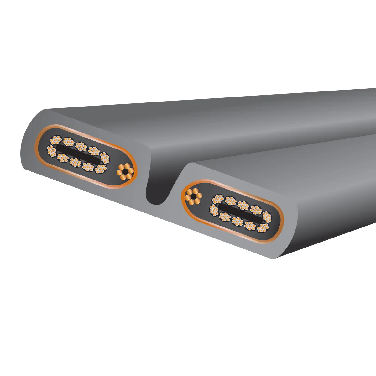 WireWorld - Silver Electra™ 10 Power Conditioning Cord