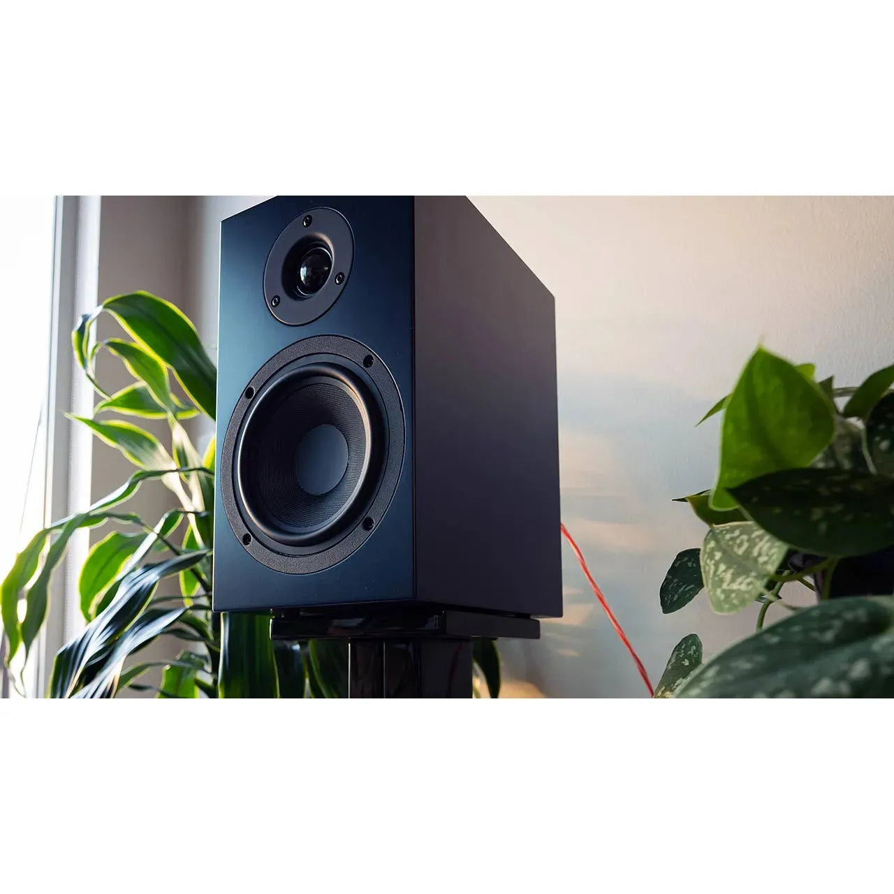 Pro-Ject - Speaker Box 5 S2