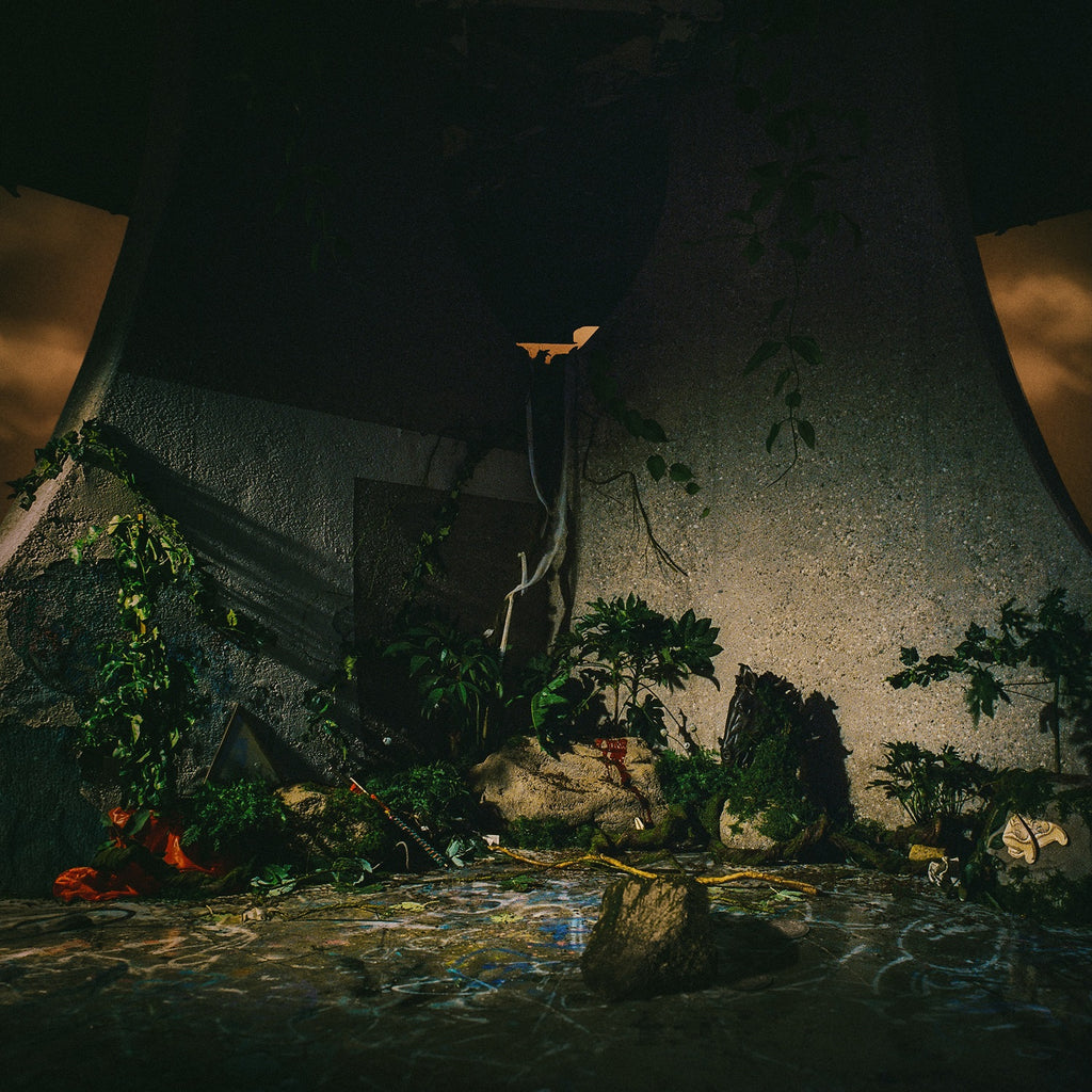 [Pre Order] The Plot In You - The Plot In You - LP *