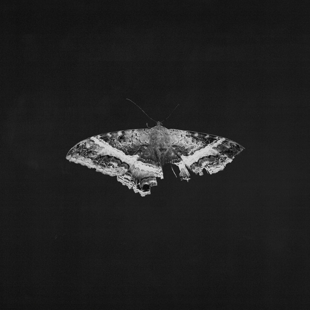 Kendrick Lamar - To Pimp A Butterfly (10th Anniversary) - Indie LP