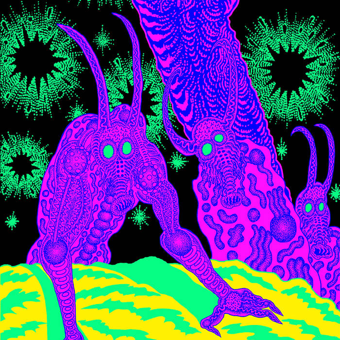 Osees - Abomination Revealed At Last - LP