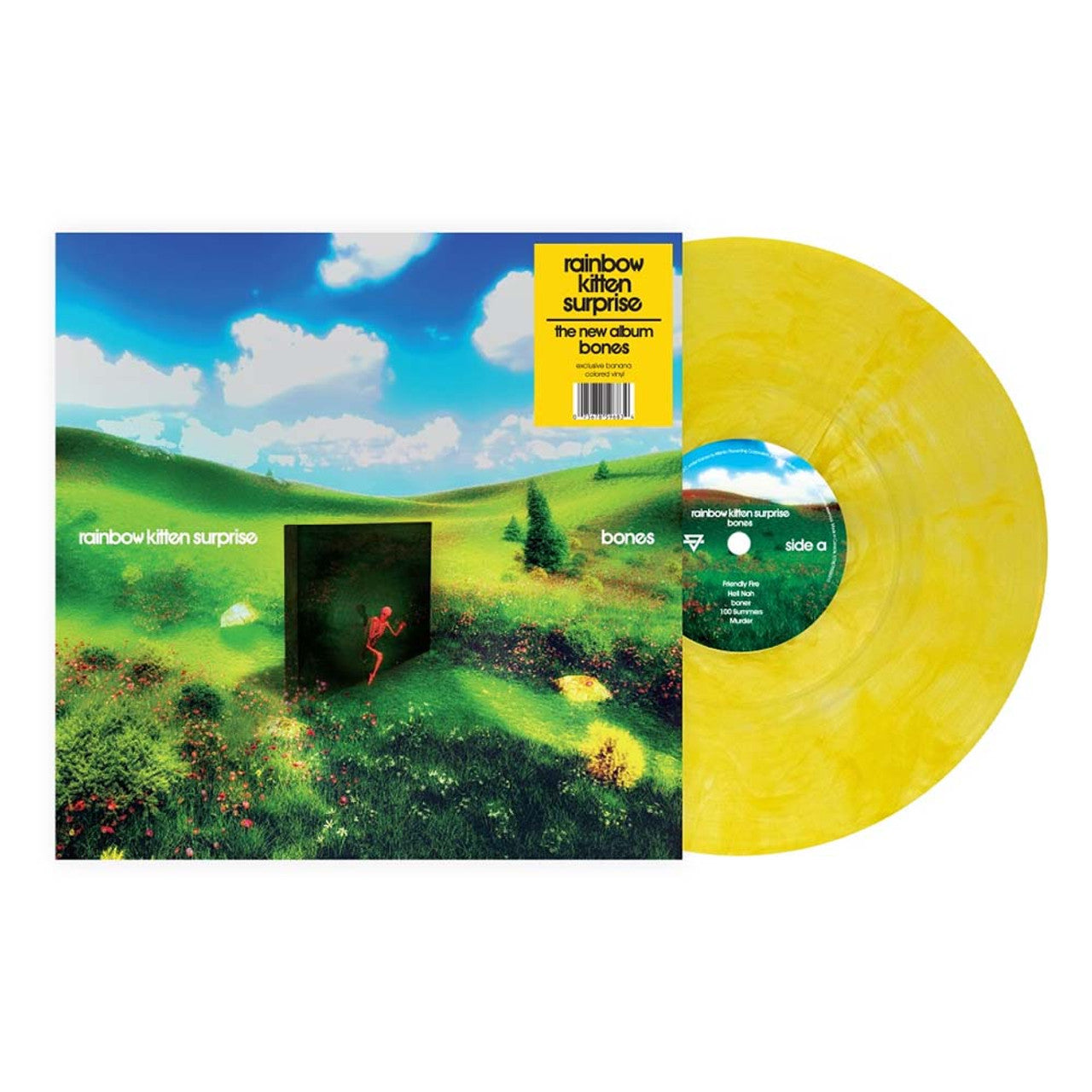 Rainbow Kitten Surprise - bones - Indie LP