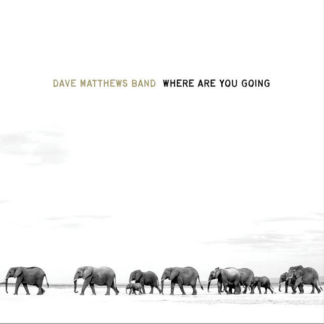 Dave Matthews Band - Where Are You Going: The Singles - LP