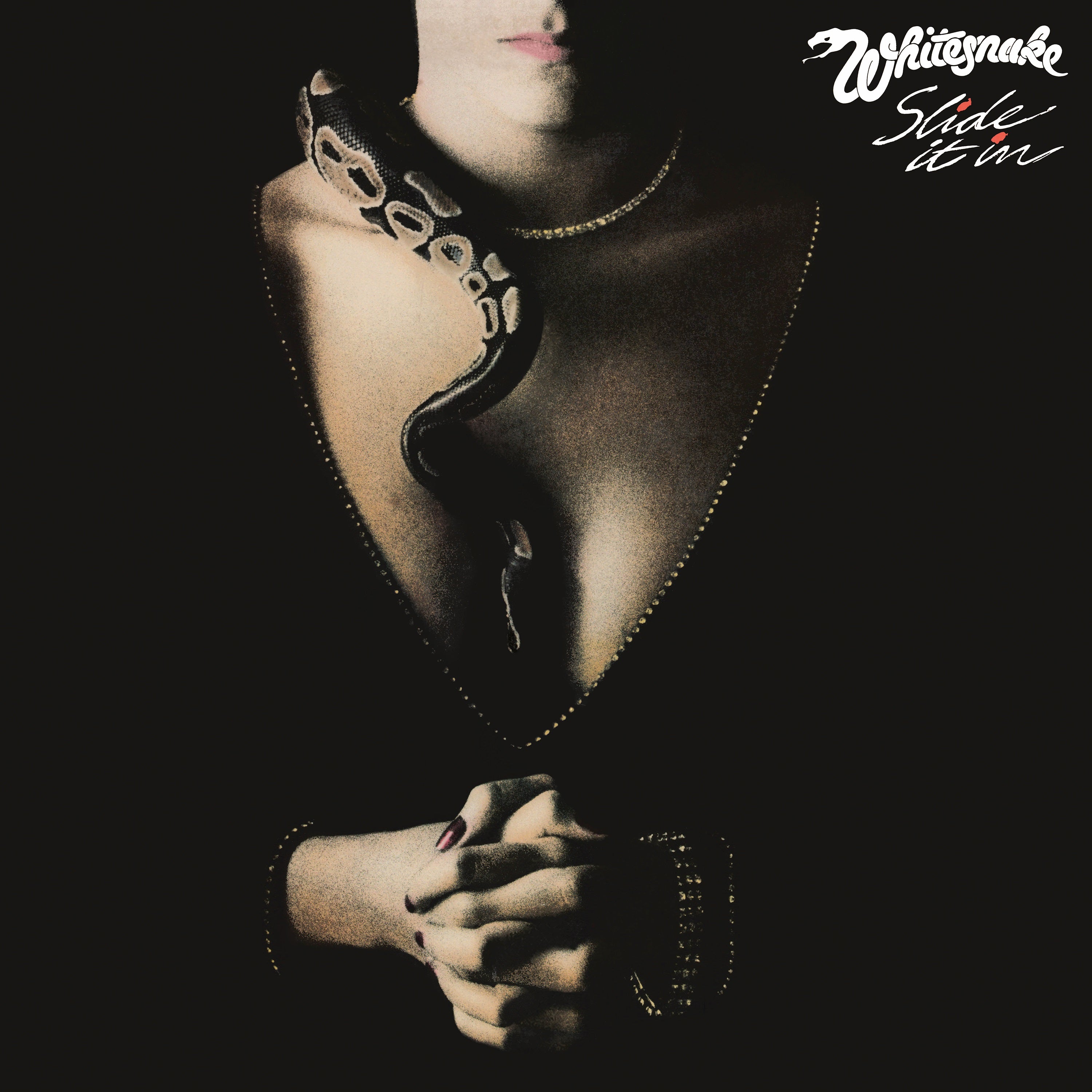 Whitesnake - Slide It In - cover