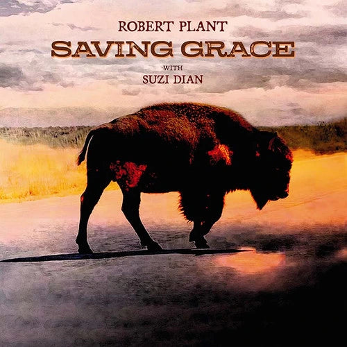 Robert Plant - Saving Grace - Indie LP