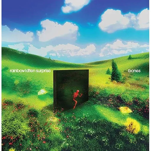 Rainbow Kitten Surprise - bones - Indie LP