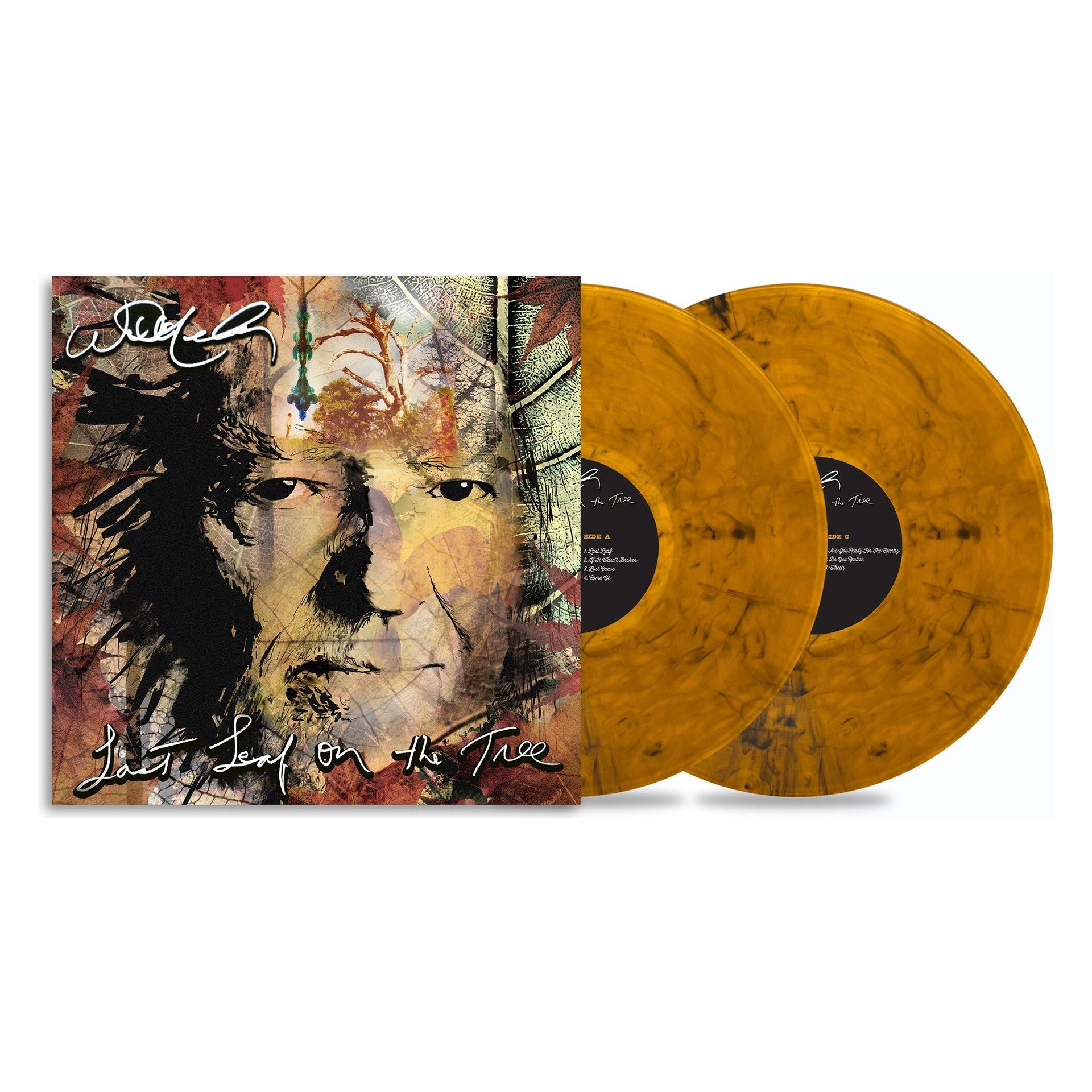 Willie Nelson - Last Leaf on the Tree - LP