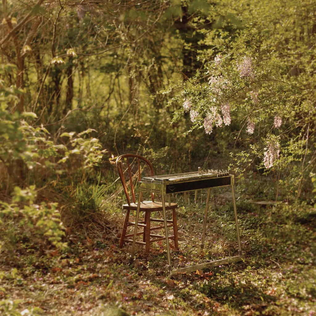 Luke Schneider - For Dancing In Quiet Light - 12" EP