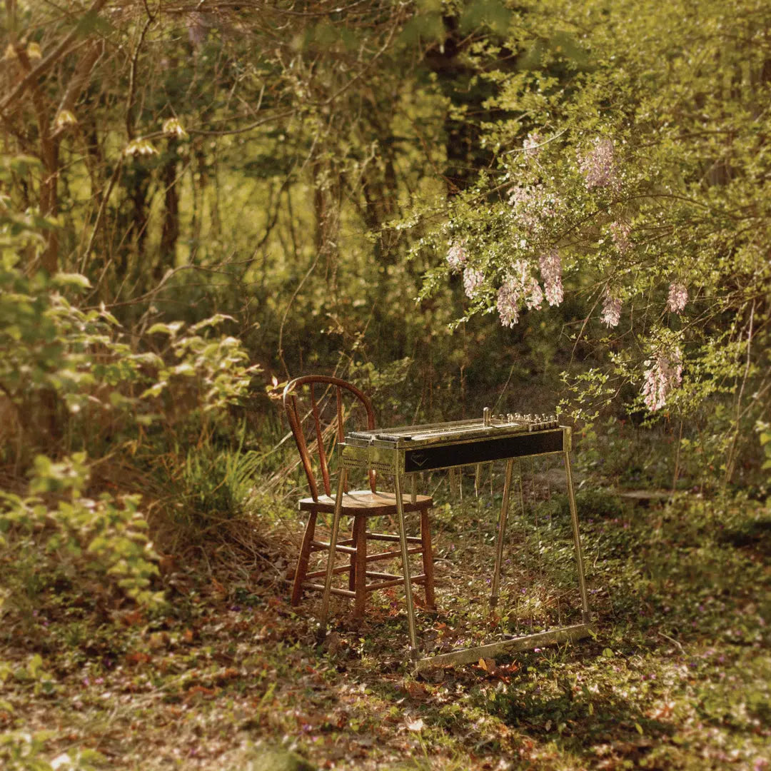 Luke Schneider - For Dancing In Quiet Light - 12" EP