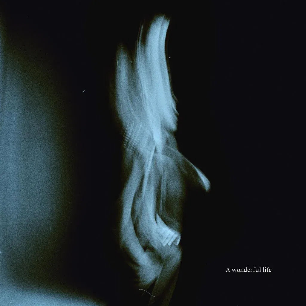 Tom Odell - A Wonderful Life - Indie LP