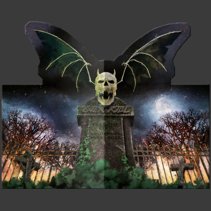 Overkill - Feel The Fire - LP