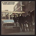 Flamin' Groovies - Shake Some Action - 50th Anniversary 2LP