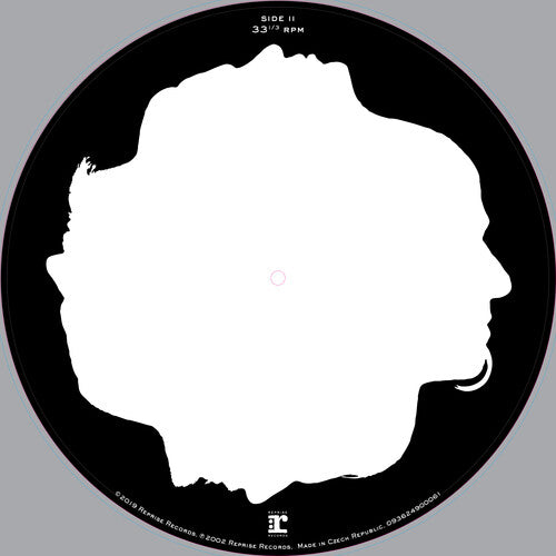 Disturbed – Believe – Picture Disc LP