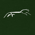 XTC - English Settlement - Import LP