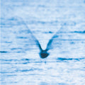 Ryo Fukui - Mellow Dream - LP