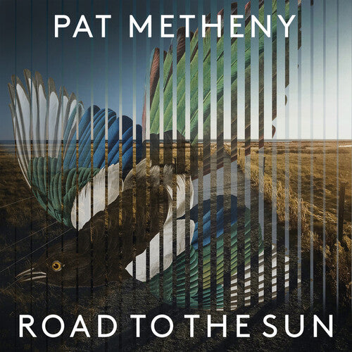 Pat Metheny - Road To The Sun - LP