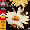 The Foundations – Build Me Up Buttercup – Indie-LP 