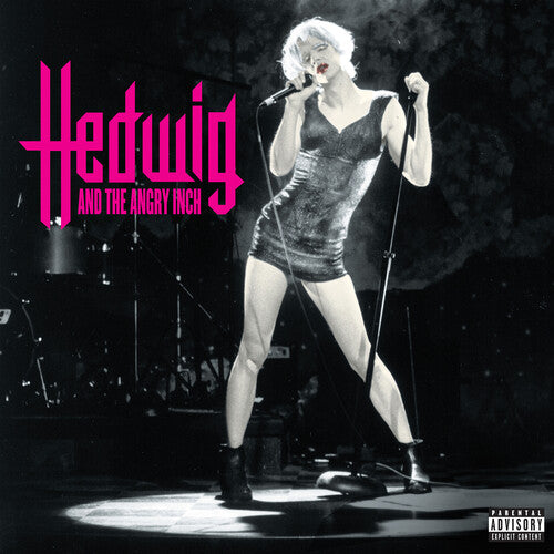 Stephen Trask - Hedwig And The Angry Inch - Grabación original del elenco - LP 