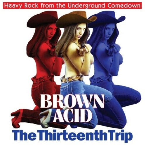 Various Artists - Brown Acid - The Thirteenth Trip - LP
