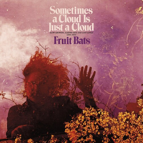 Fruit Bats - A veces una nube es solo una nube: crecimientos lentos, éxitos durmientes y canciones perdidas - LP 