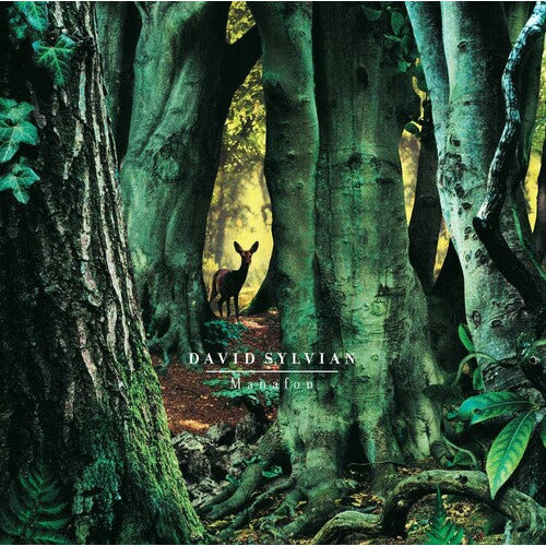 David Sylvian – Manafon – LP 