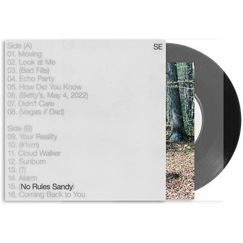 Sylvan Esso – No Rules Sandy – LP 