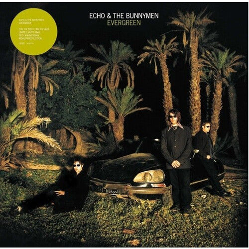 Echo & the Bunnymen - Evergreen - LP