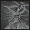 Neutral Milk Hotel - The Collected Works - Boxed Set LP