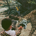 Unknown Mortal Orchestra – V – LP 