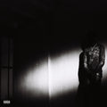 Destroy Lonely - No Stylist - LP