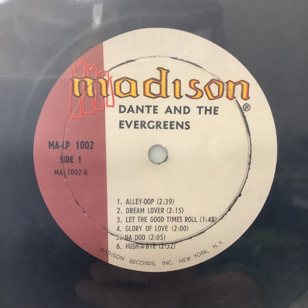 Dante and the Evergreens – selbstbetitelt – LP