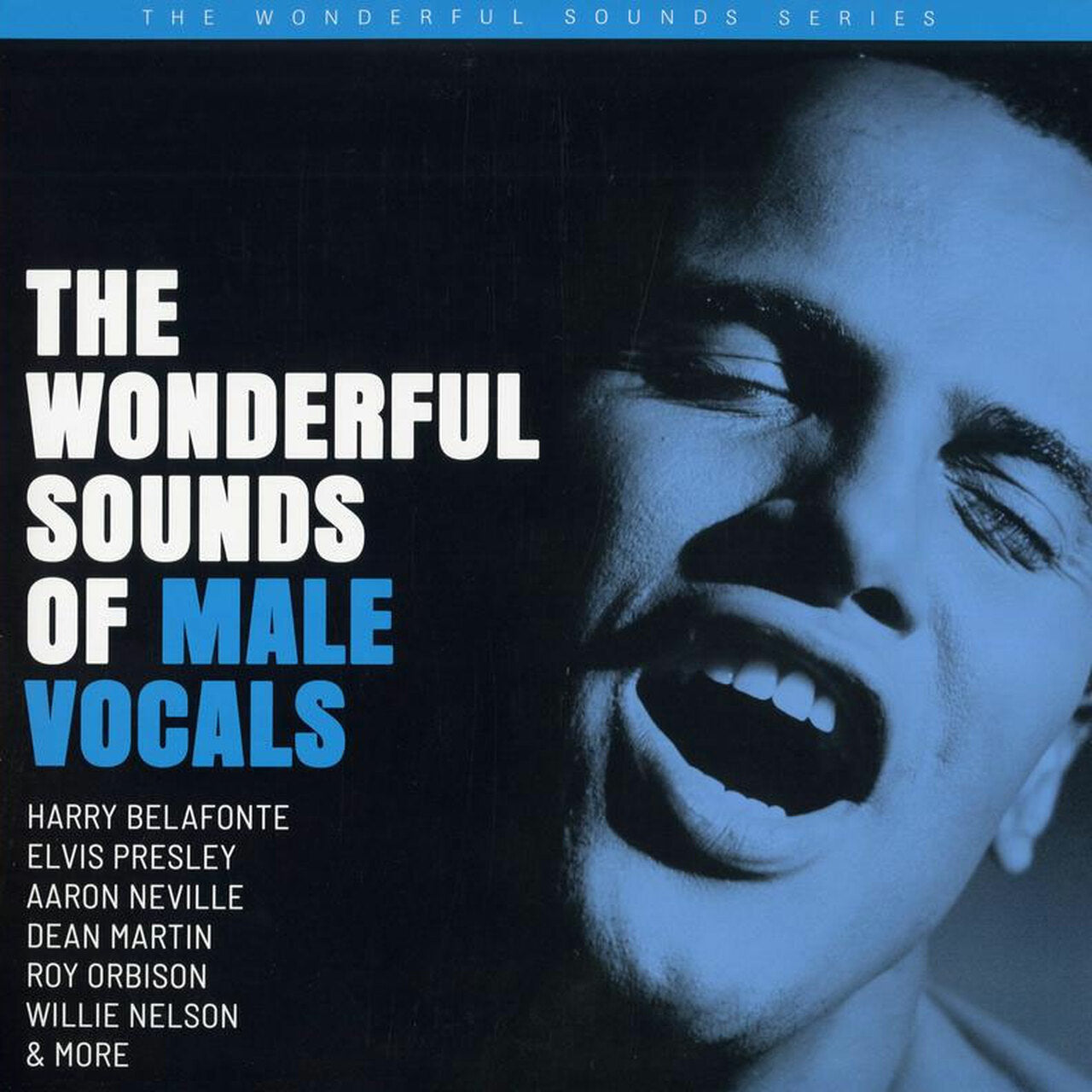 Verschiedene Künstler – The Wonderful Sounds Of Male Vocals – LP von Analogue Productions