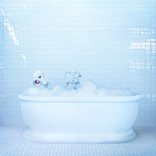Frankie Cosmos - Vessel - LP