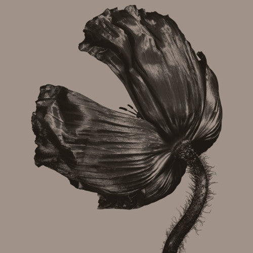 Pet Shop Boys - Release - LP