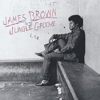 James Brown – In the Jungle Groove – LP